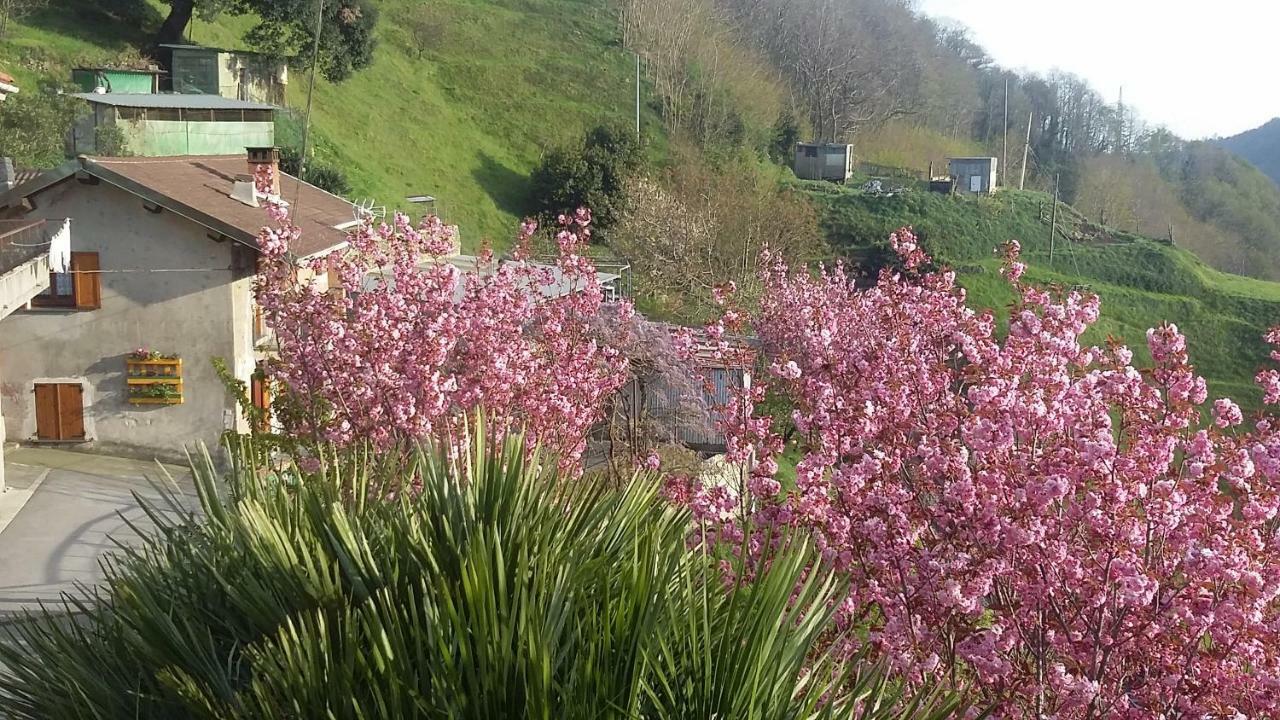 B&B Al Ciliegio Del Turchino Mele Bagian luar foto